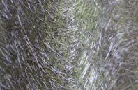 Sole Street fibreglass roof work